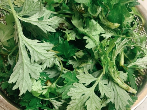 よもぎのアク抜き☘